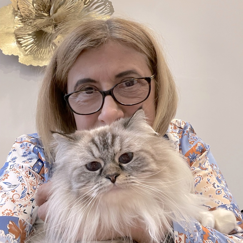 Meet your Posher, Zeynep